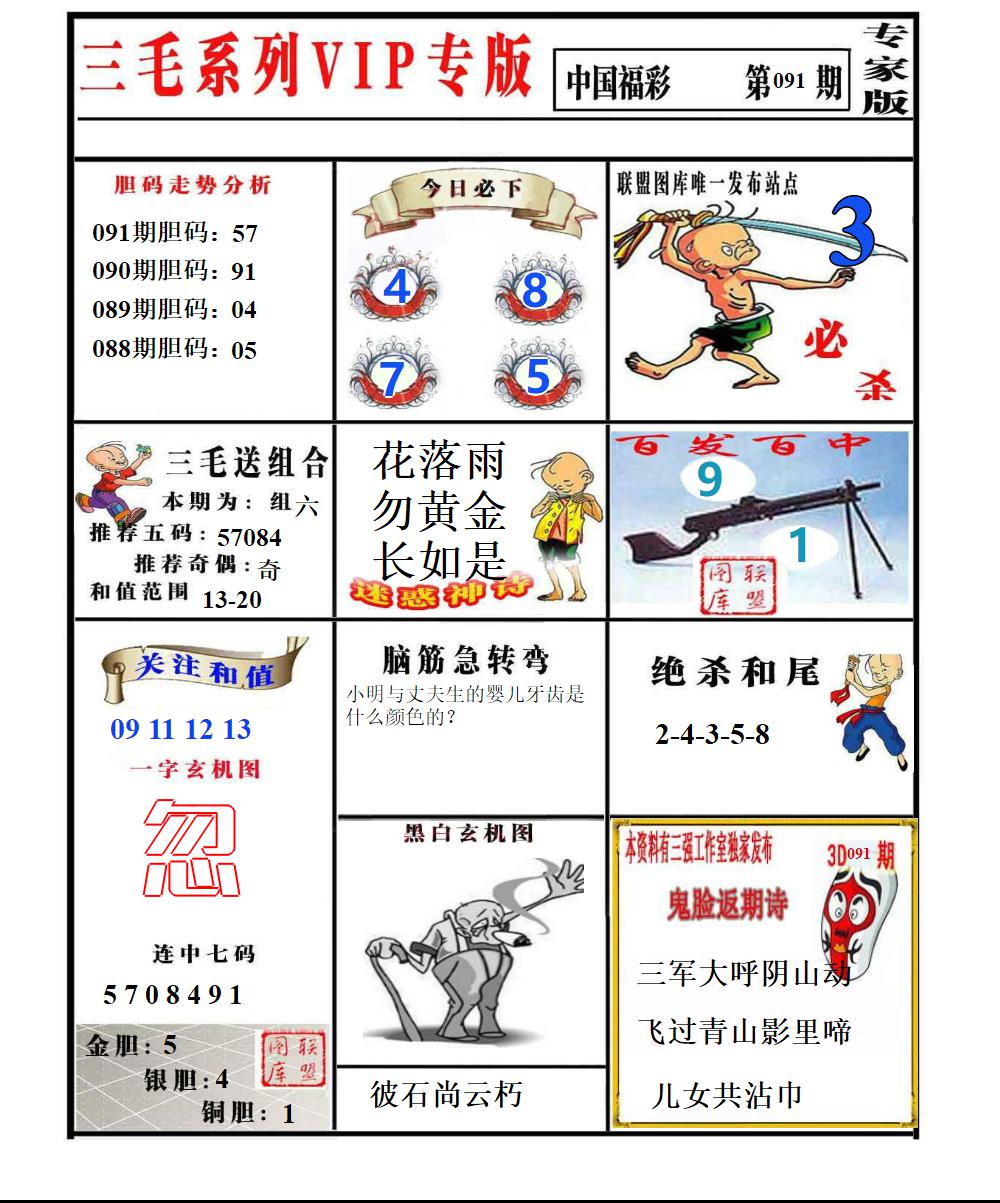 三毛专家版