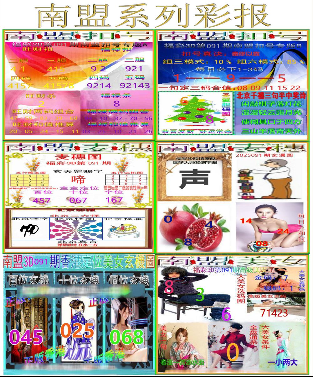 3D南盟系列彩报