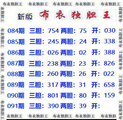 布衣独胆王