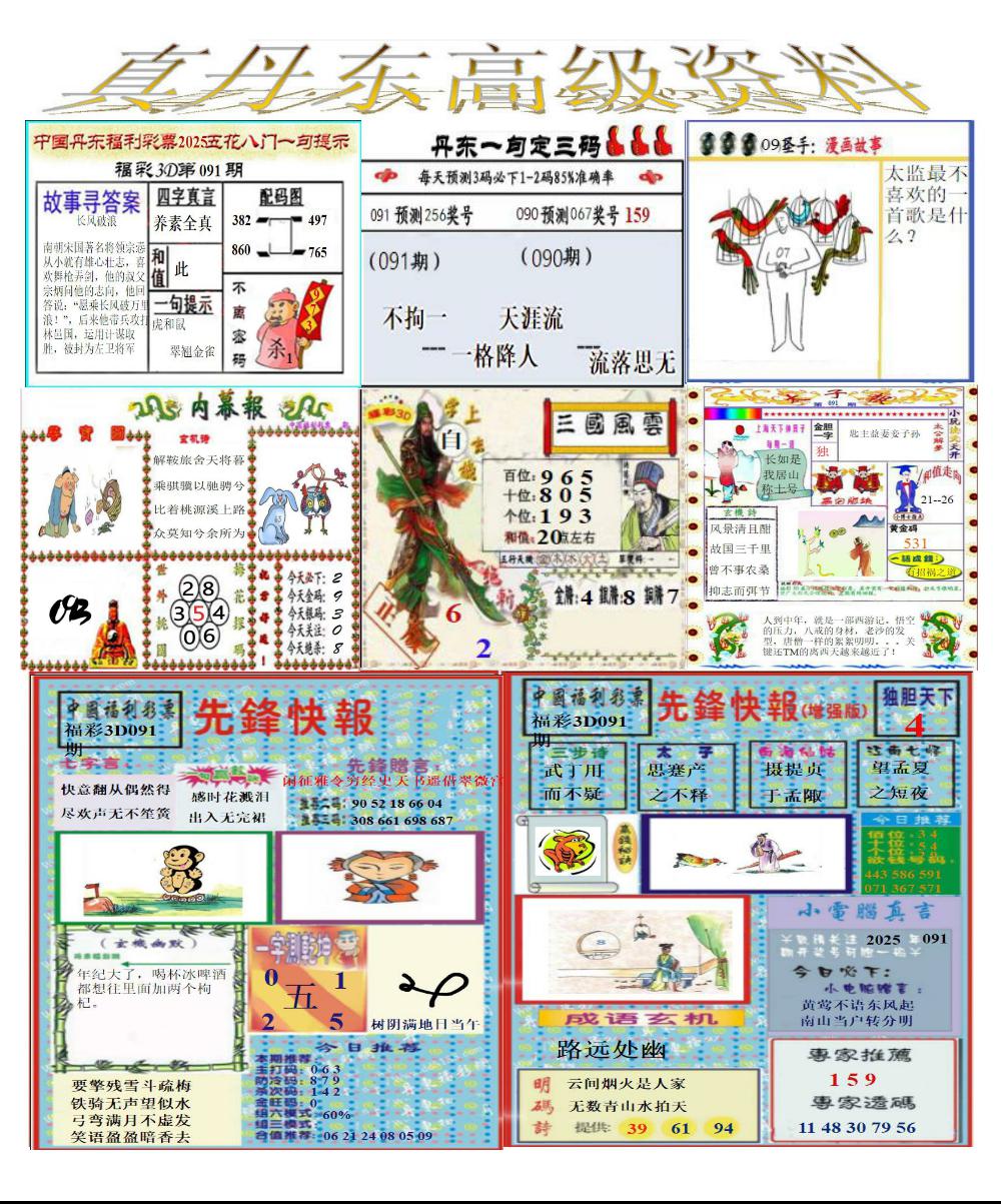 真丹东高级资料